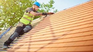 Best Roof Ventilation Installation  in Selma, NC